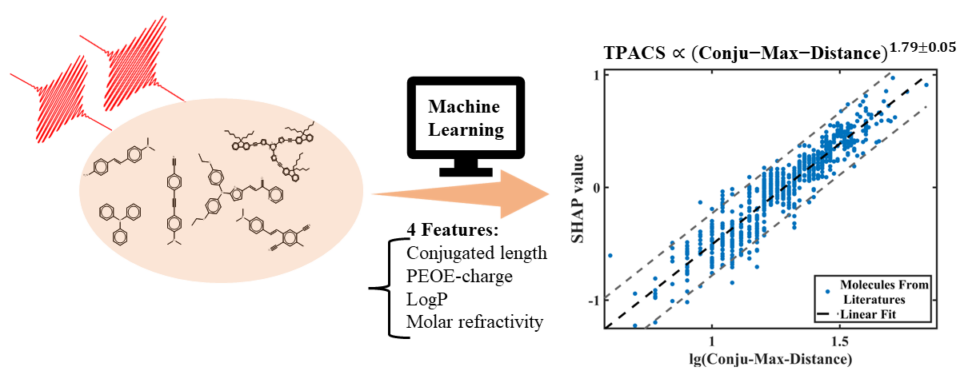 Explaining and Predicting Two-Photon Absorption with Machine Learning